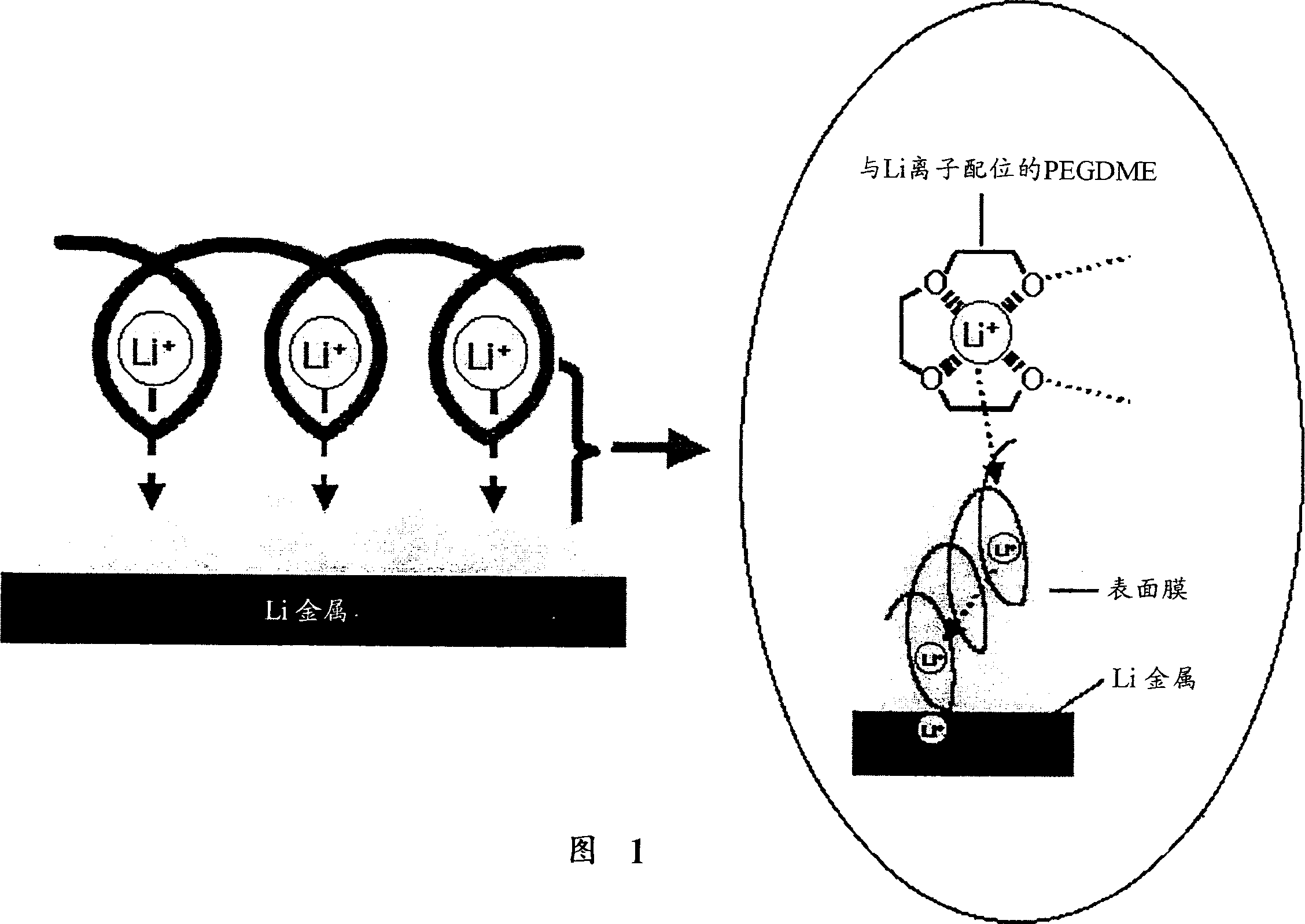 Organic electrolyte and lithium secondary cell using same