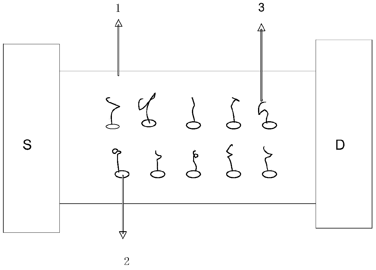 Preparation method of graphene DNA (deoxyribonucleic acid) sensor