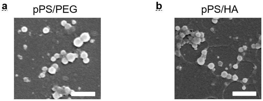 A kind of preparation method and application of polyporphyrin compound