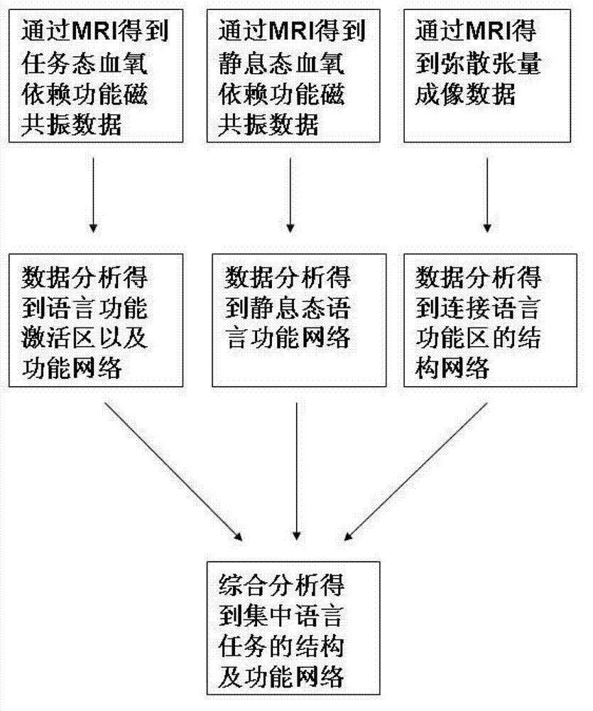 Processing method of functional magnetic resonance imaging data for checking Chinese functional zones