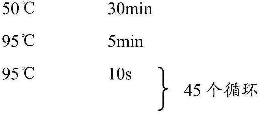 Detection reagent and kit for simultaneously detecting EV71 type enterovirus and A10 type coxsackie virus