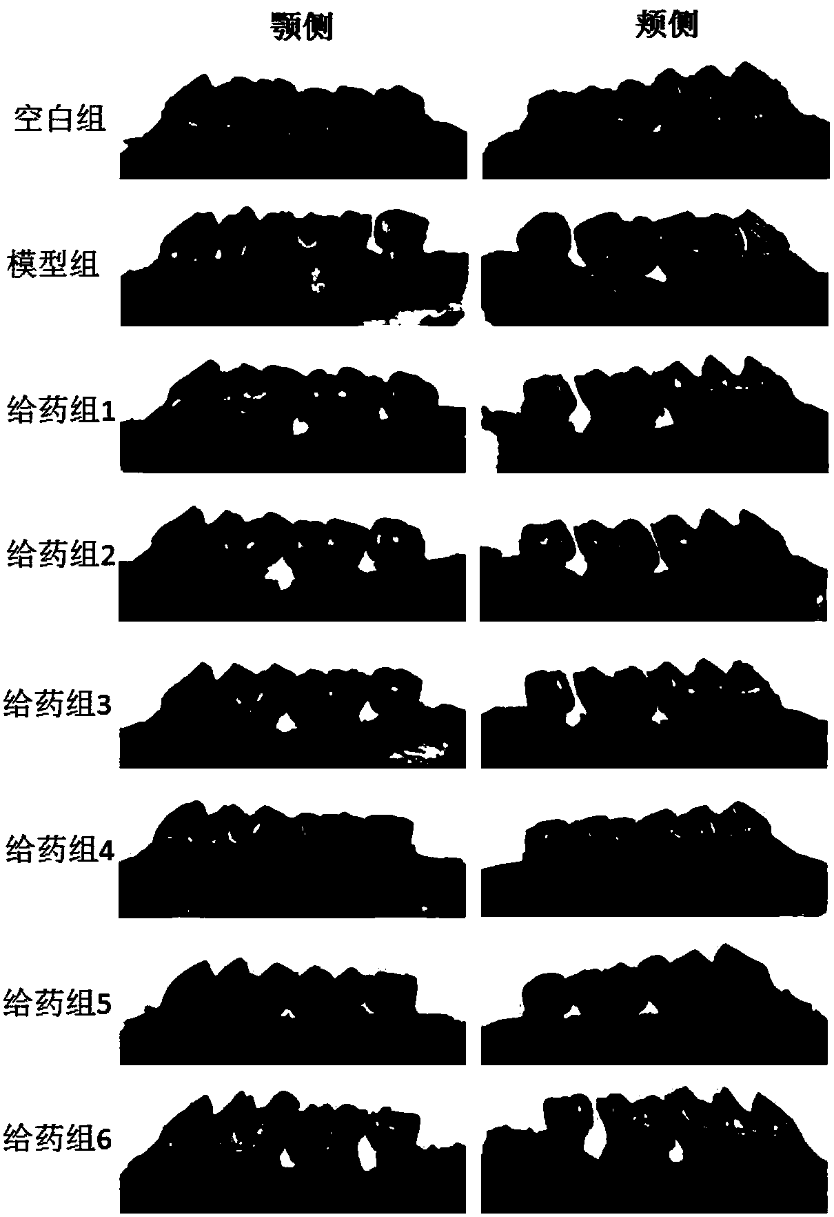 Probiotic composition, preparation, bacterial sludge and application