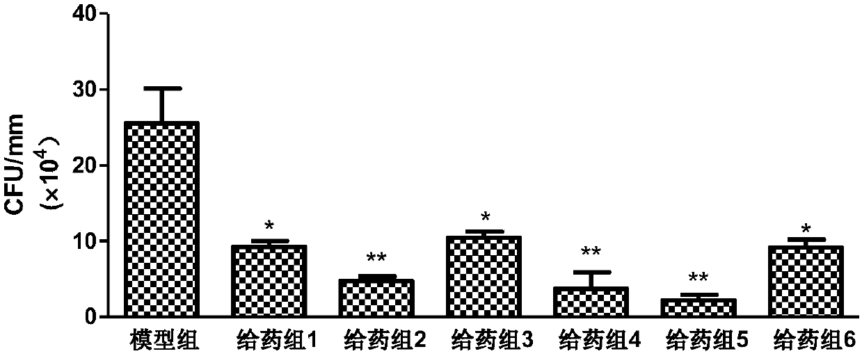 Probiotic composition, preparation, bacterial sludge and application