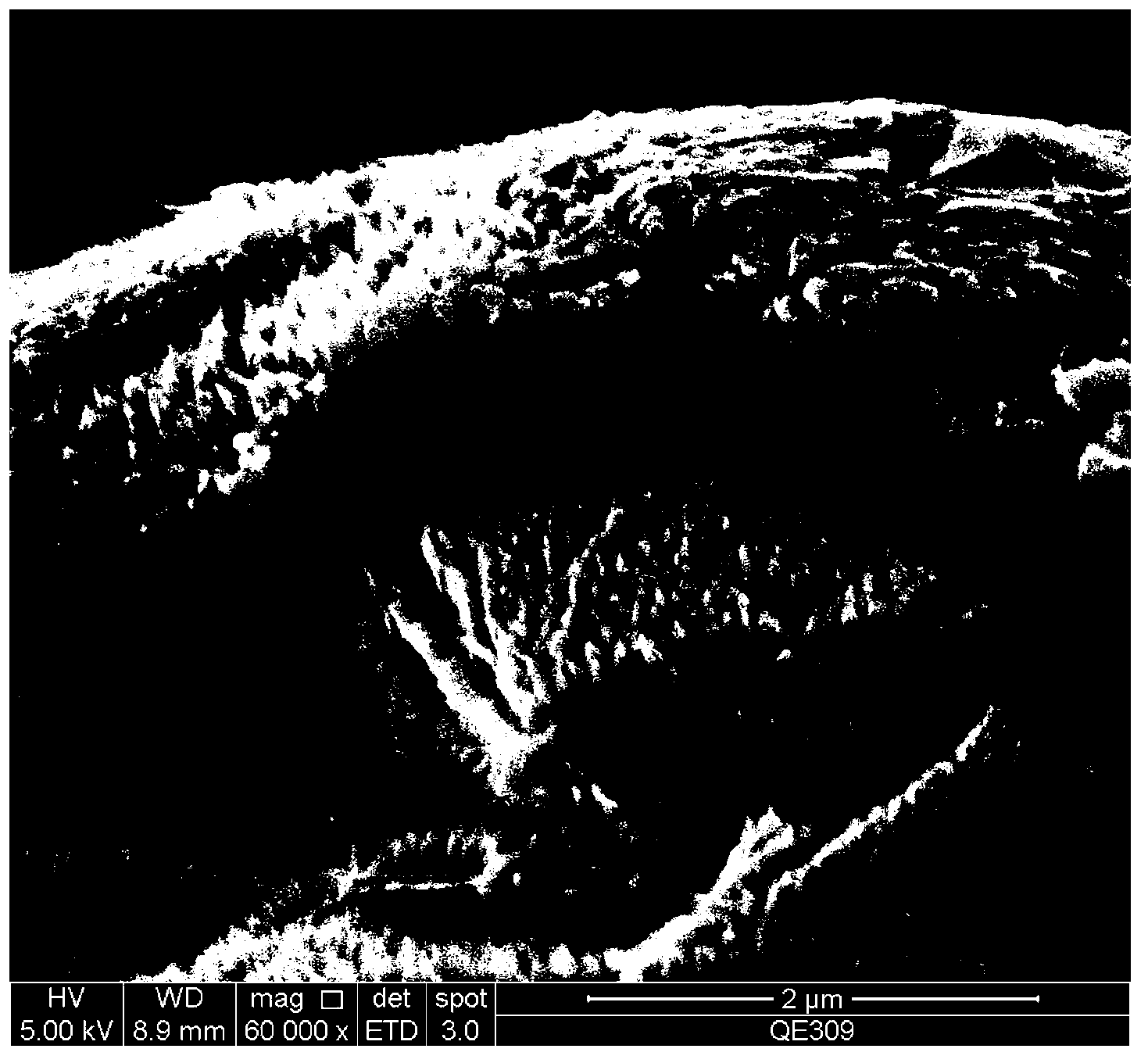 Graphene/conductive polymer composite material and preparation method thereof