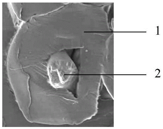 Composite fiber of spices and preparation method and application of composite fiber