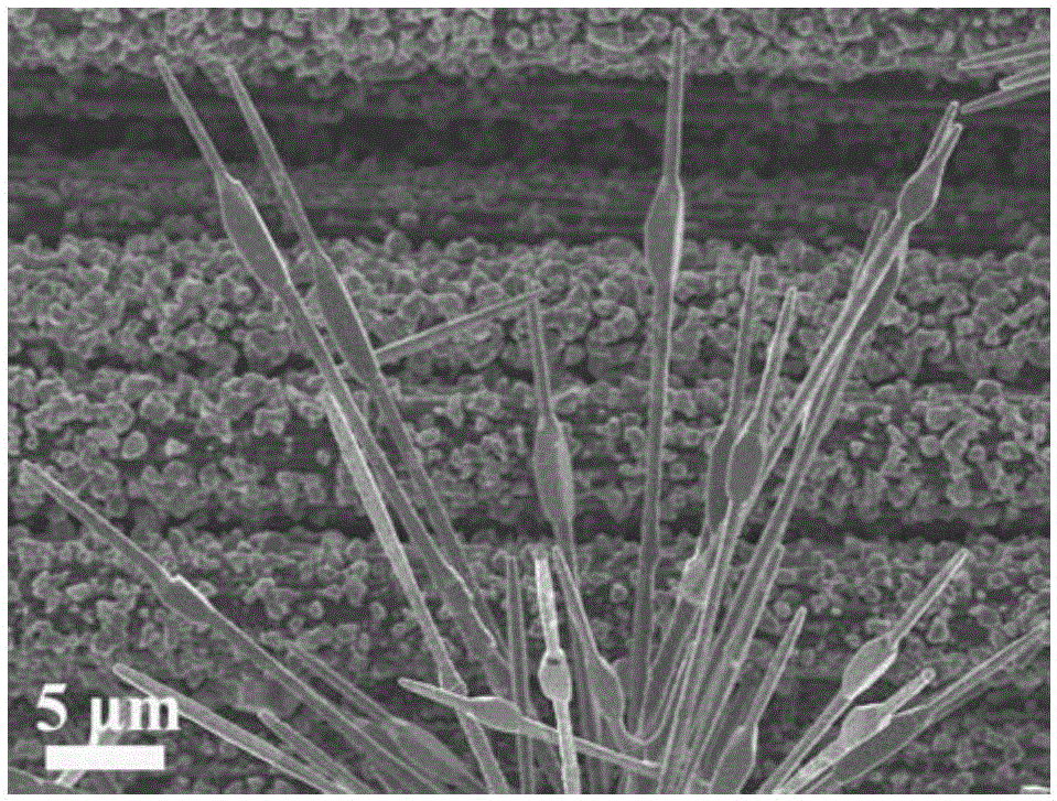 N-doped SiC nanoneedle and application thereof