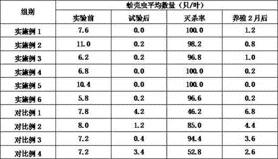 Method for killing icerya purchasi in potted cultivation process of succulent plant