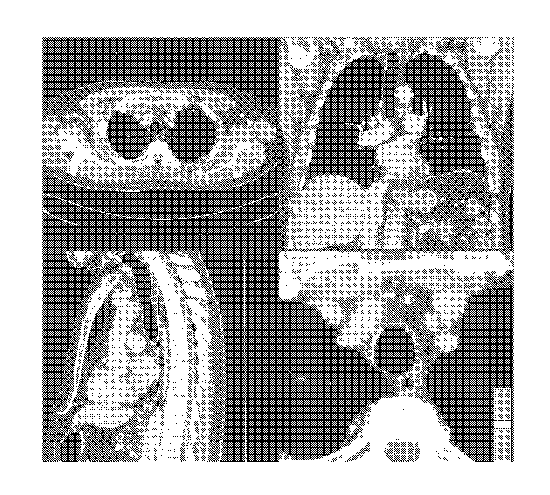 Medical image reporting system and method