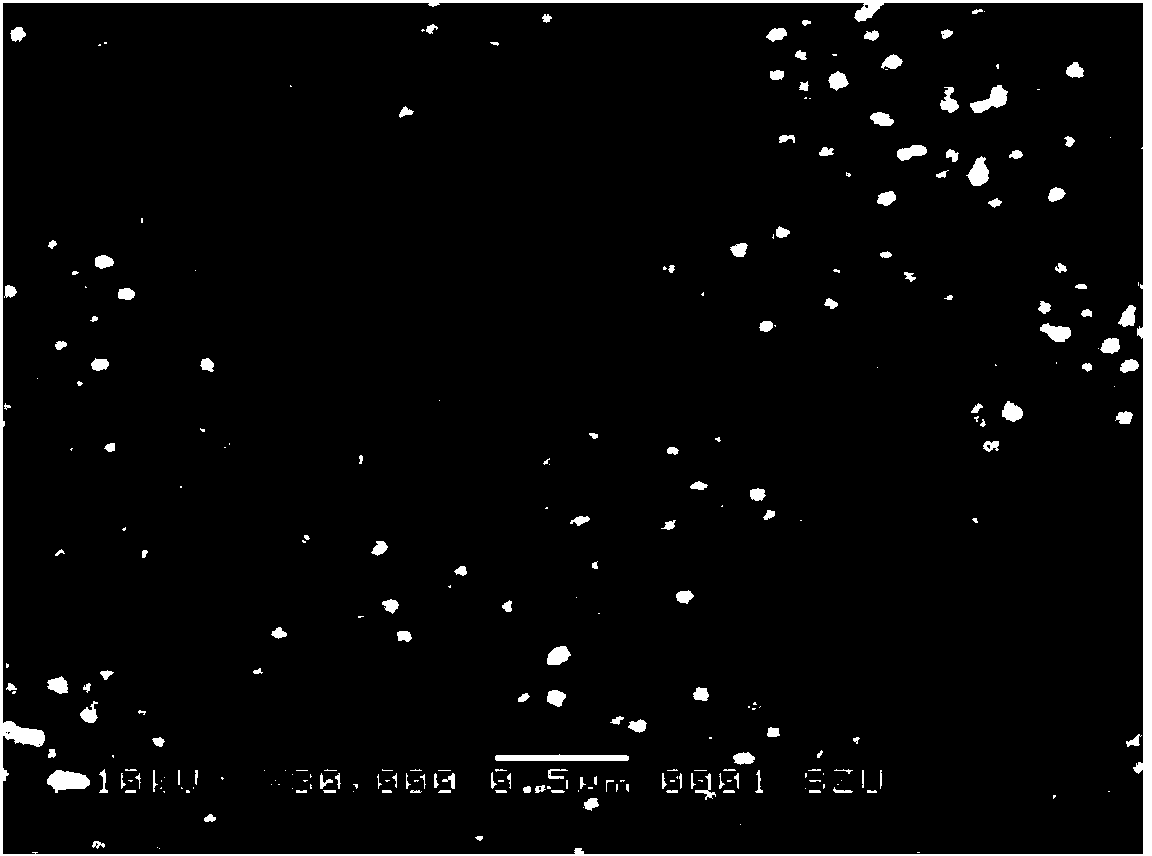 Antimicrobial peptide electrochemiluminescence sensor and preparation method and detection method thereof