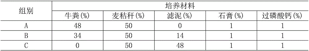 Method for cultivating agaricus mushroom by utilizing scytalidium thermophilum