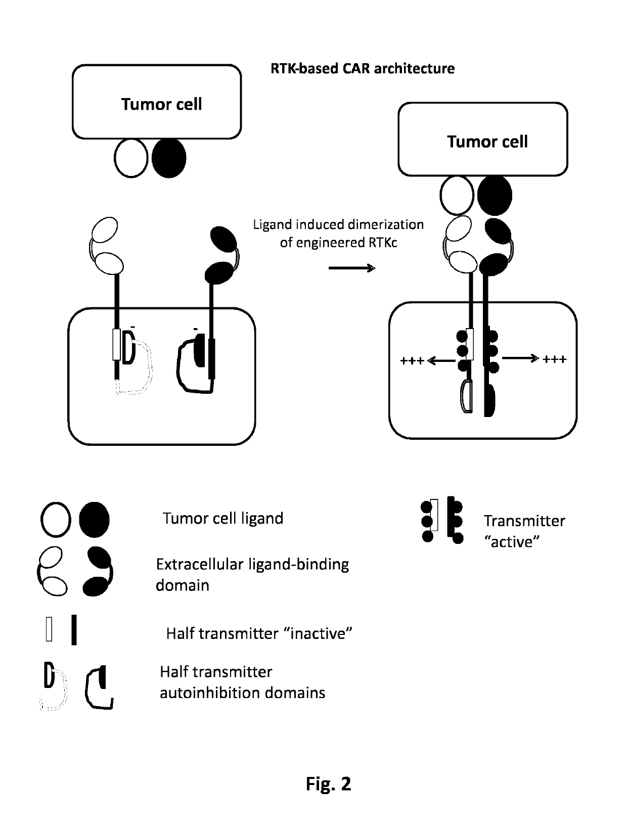 Method of engineering multi-input signal sensitive T cell for immunotherapy