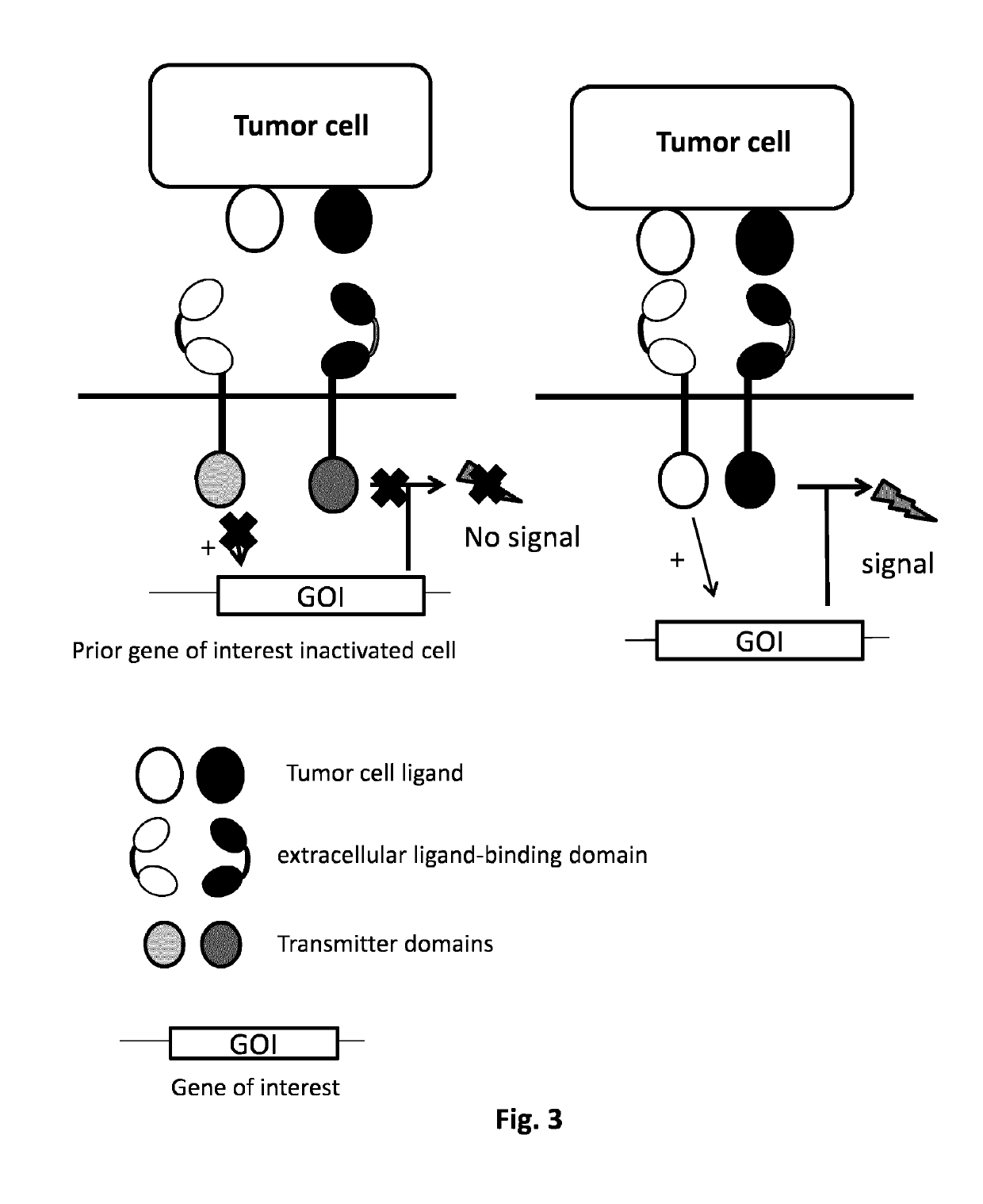 Method of engineering multi-input signal sensitive T cell for immunotherapy