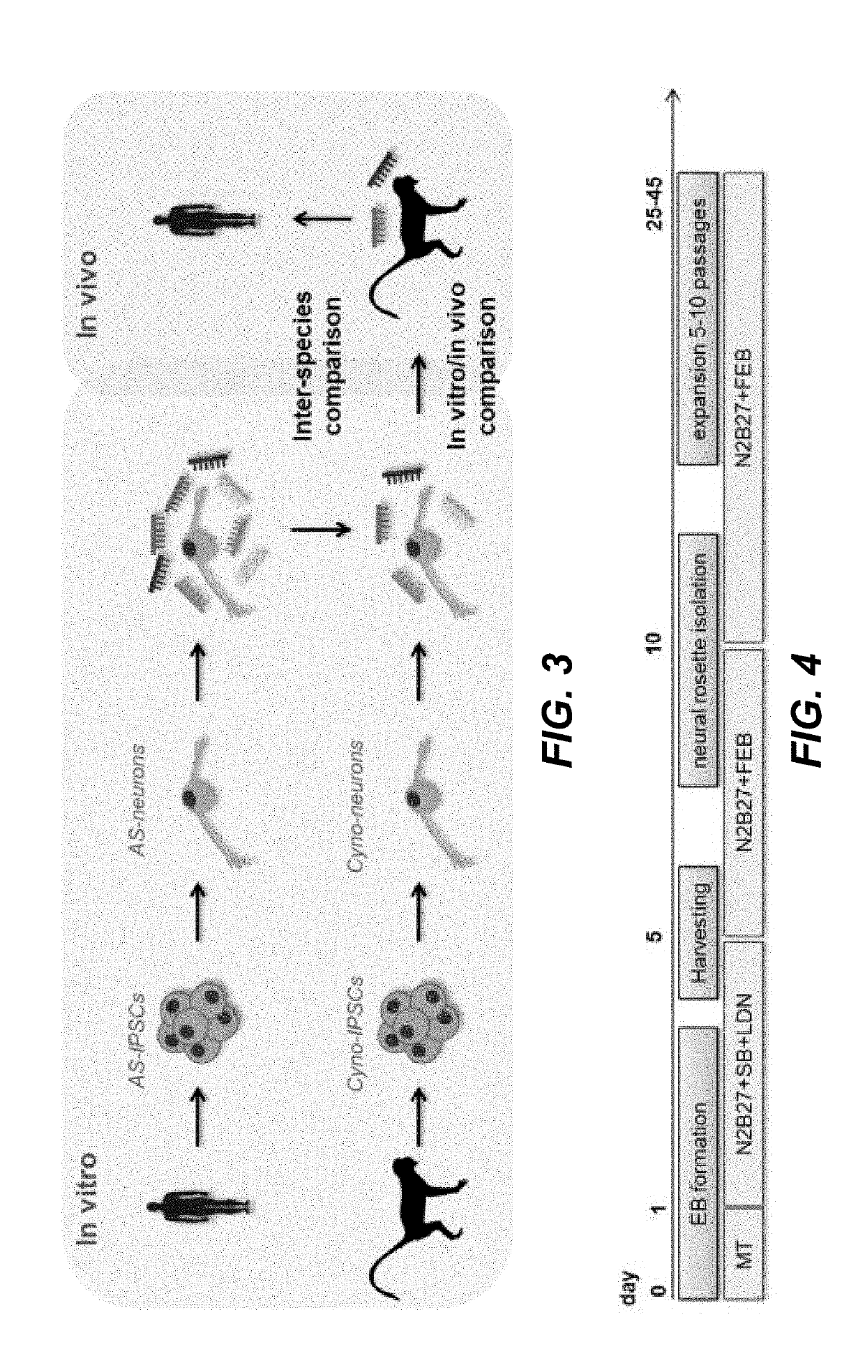 Methods for determining the efficacy profile of a drug candidate