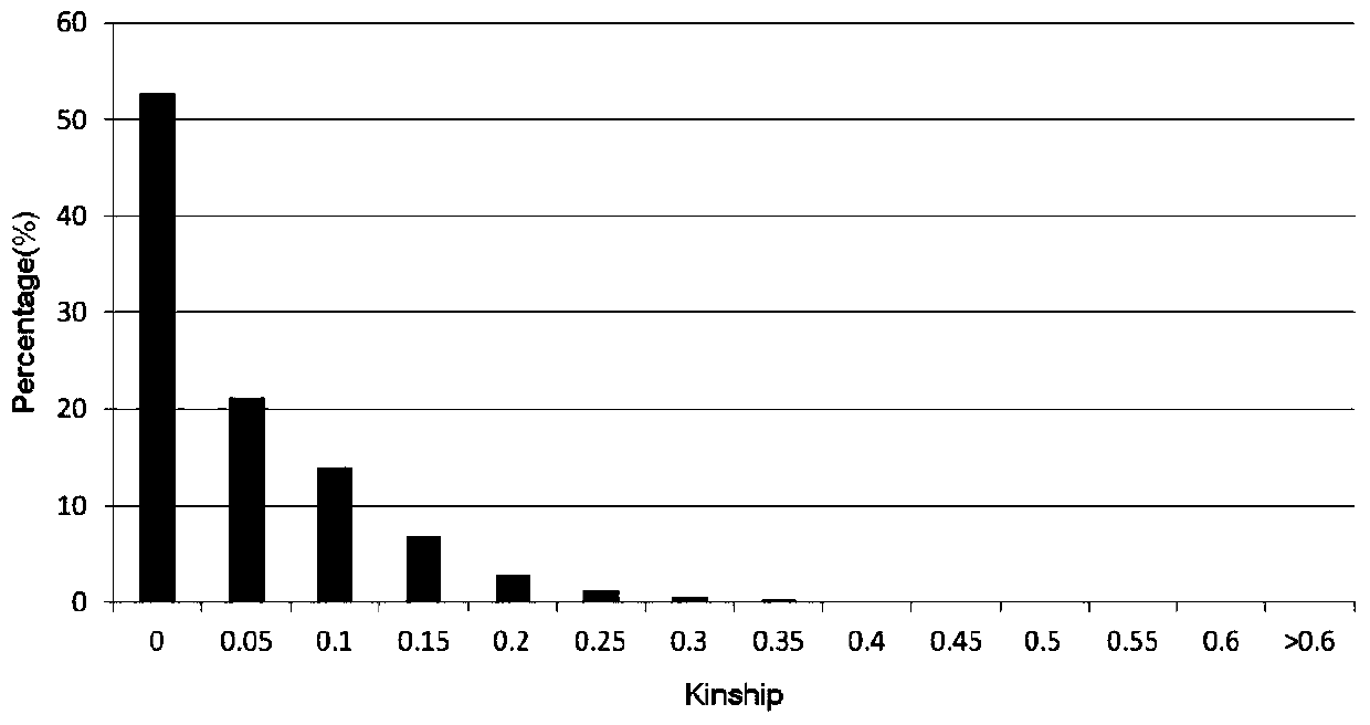 Chrysanthemum salt-tolerance-associated molecular markers and its acquisition method and application