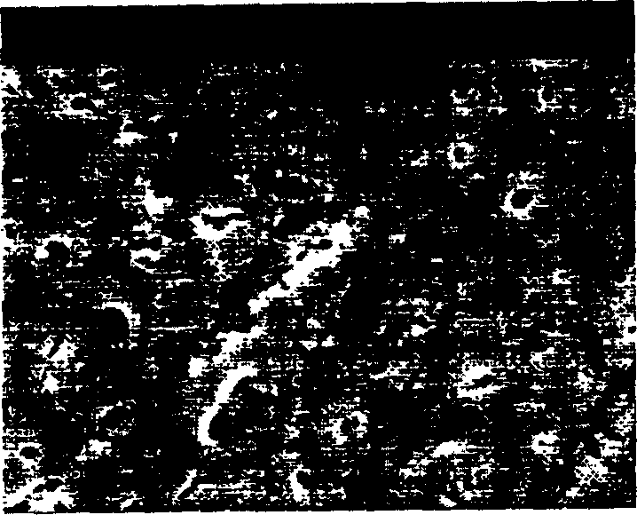 Method for micro-arc depositing ceramic layer onto positive and negative bipolarities on magnesium alloy