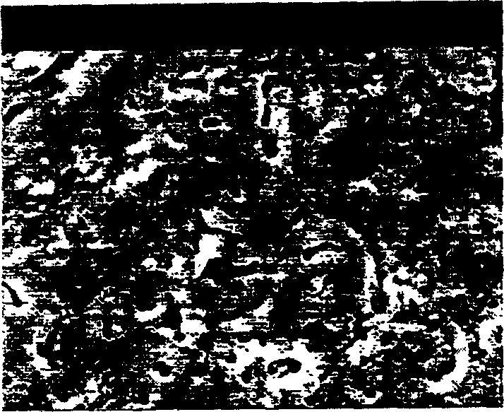 Method for micro-arc depositing ceramic layer onto positive and negative bipolarities on magnesium alloy