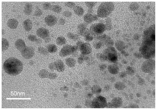 Method for Determination of Cannabidiol Content Based on Silver Nano-UV-Vis Spectrophotometry