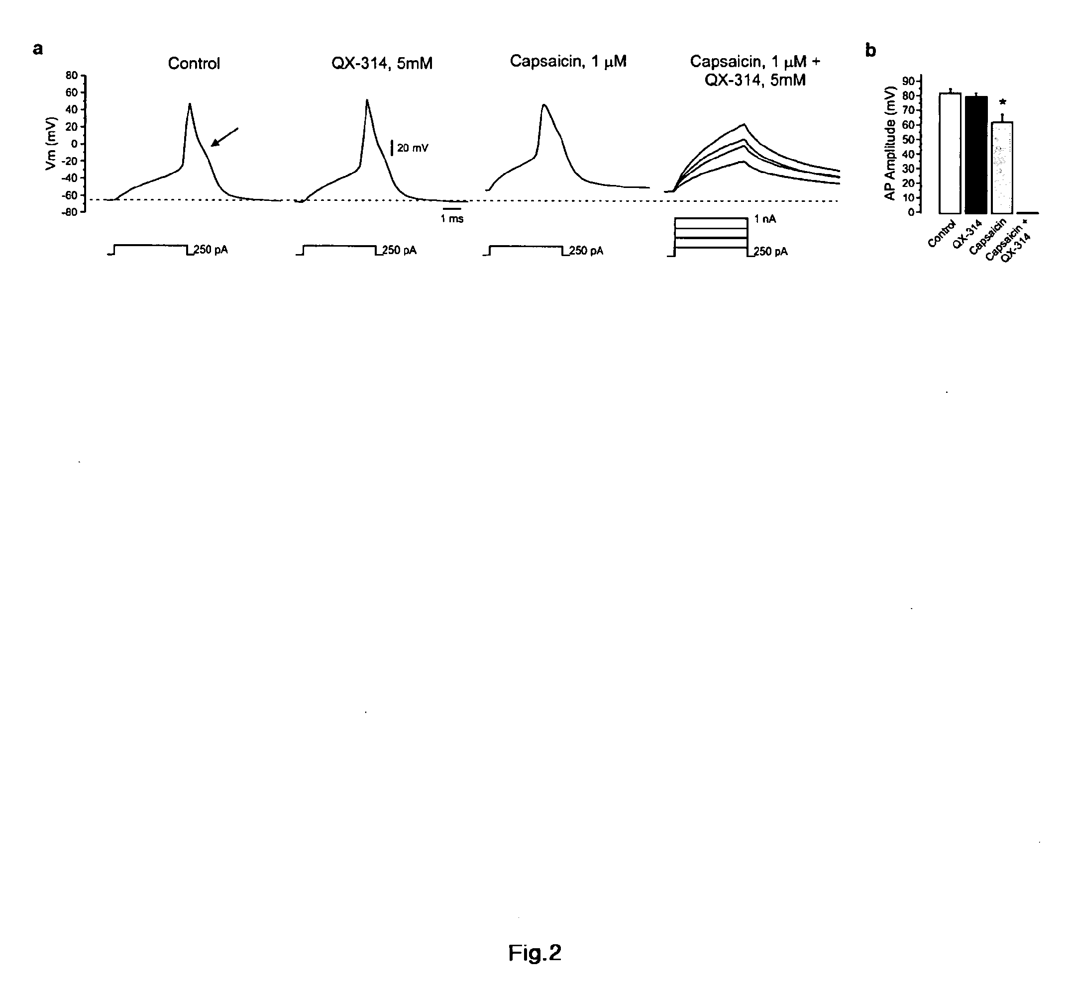 Methods, compositions, and kits for treating pain and pruritis