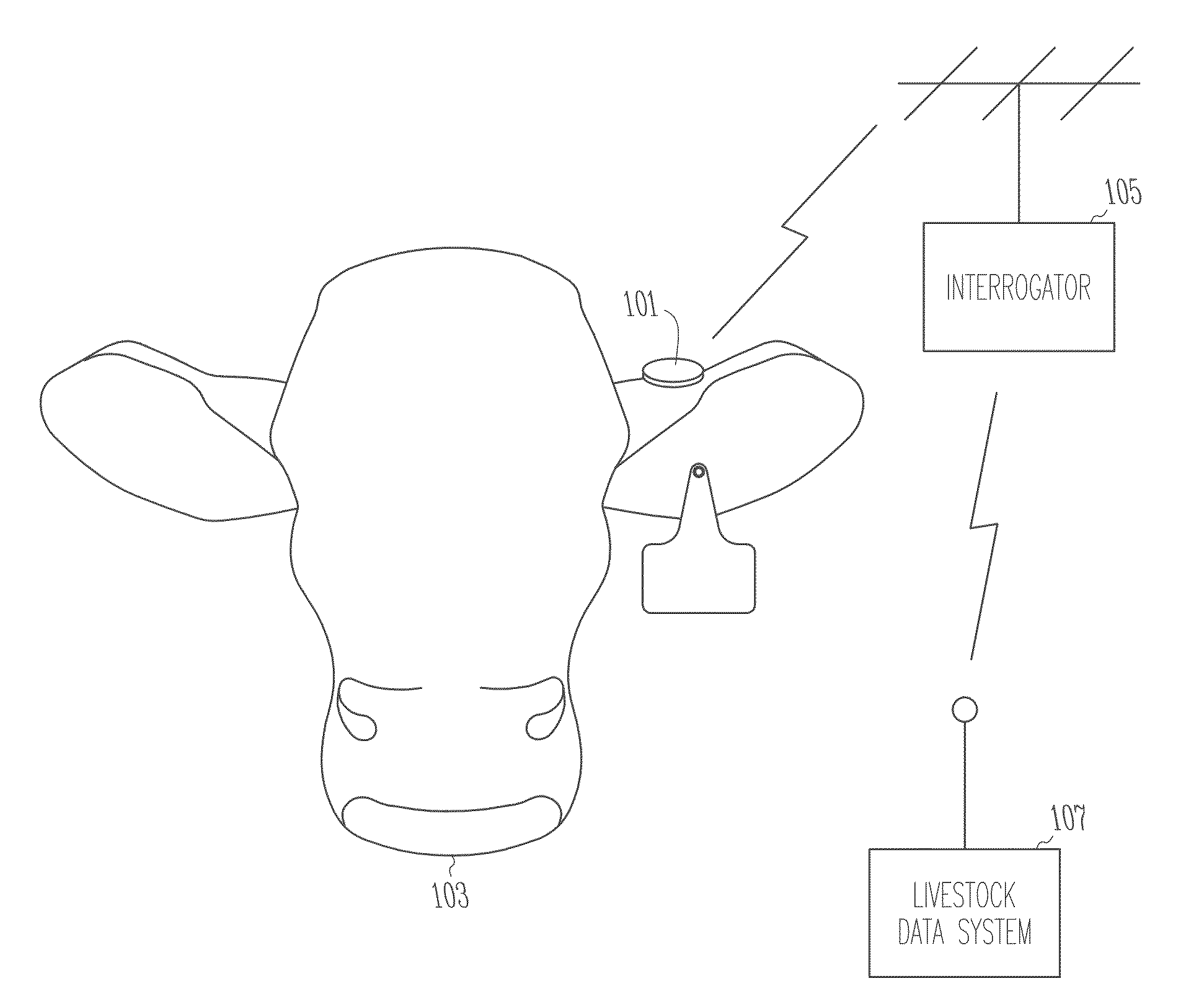 Method and apparatus for improved monitoring and managing of livestock