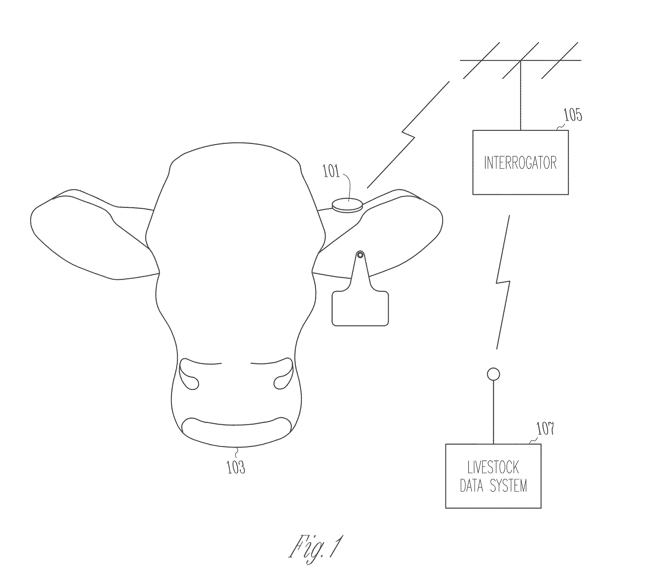 Method and apparatus for improved monitoring and managing of livestock