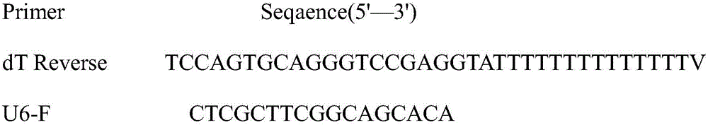 Method for predicting recurrence and metastasis time and prognosis of triple-negative breast cancer (TNBC) by establishing miRNAs (micro Ribonucleic Acids) expression level