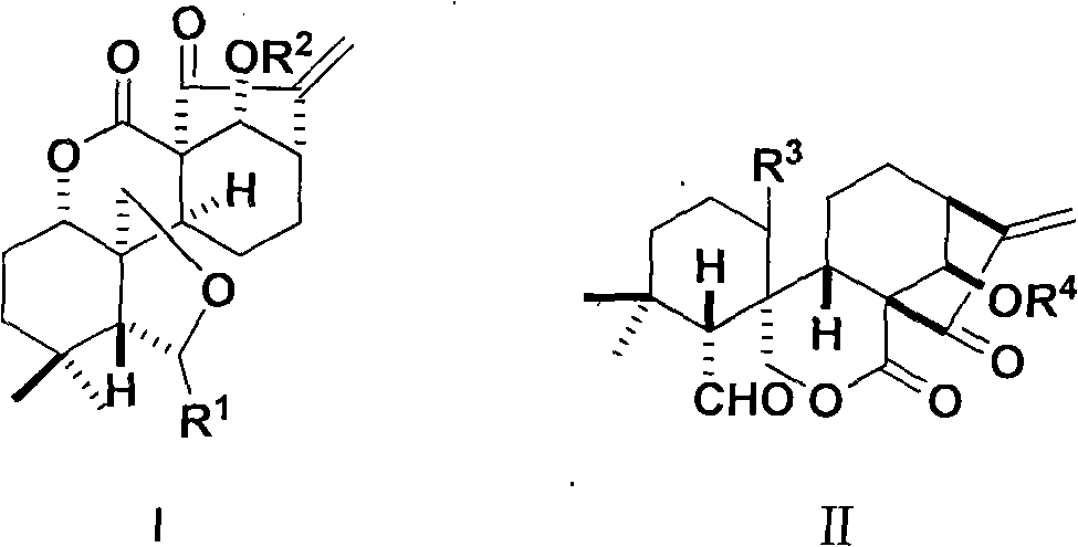 Ent-6,7-open-cycle kaurene type rubescensine a derivative with Anti-tumor activity and preparation method and use thereof