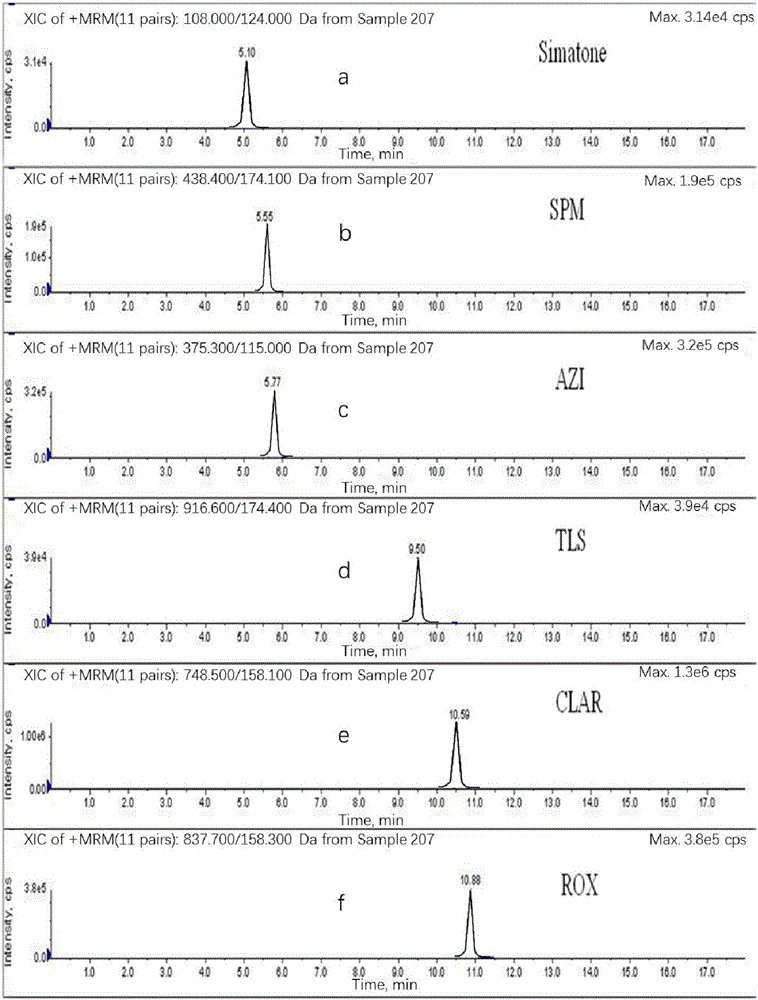 Passive sampling instrument for measuring macrolide antibiotic in water and application thereof