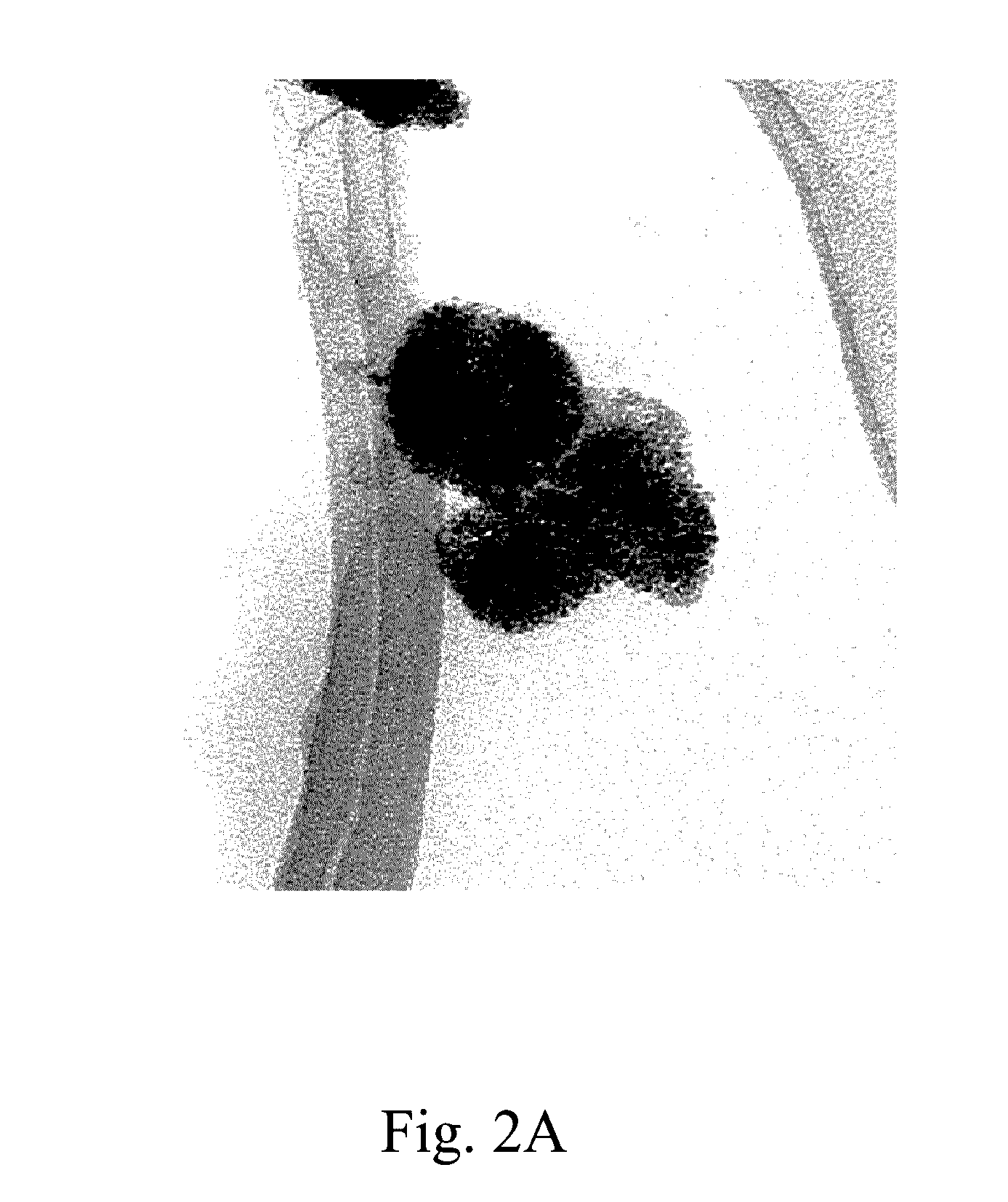 Catalyst structure for electrolysis of water and method of forming the same