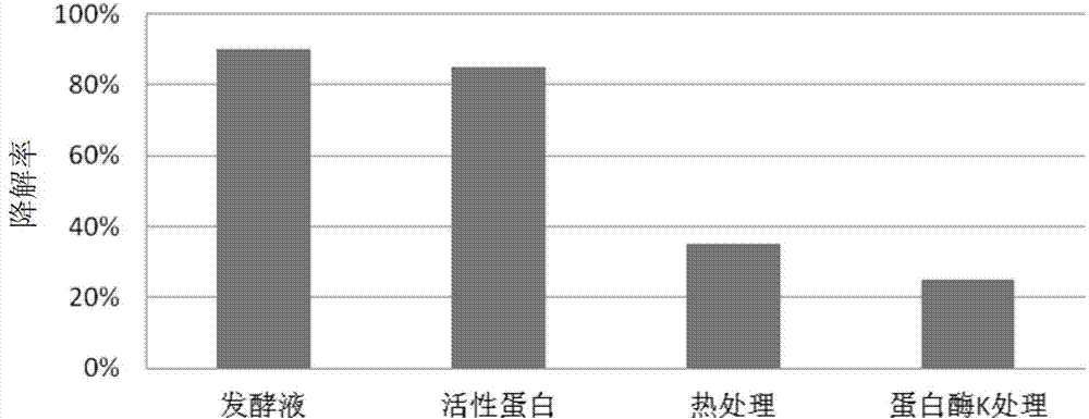 Bacillus subtilis capable of effectively degrading vomitoxin and application of bacillus subtilis