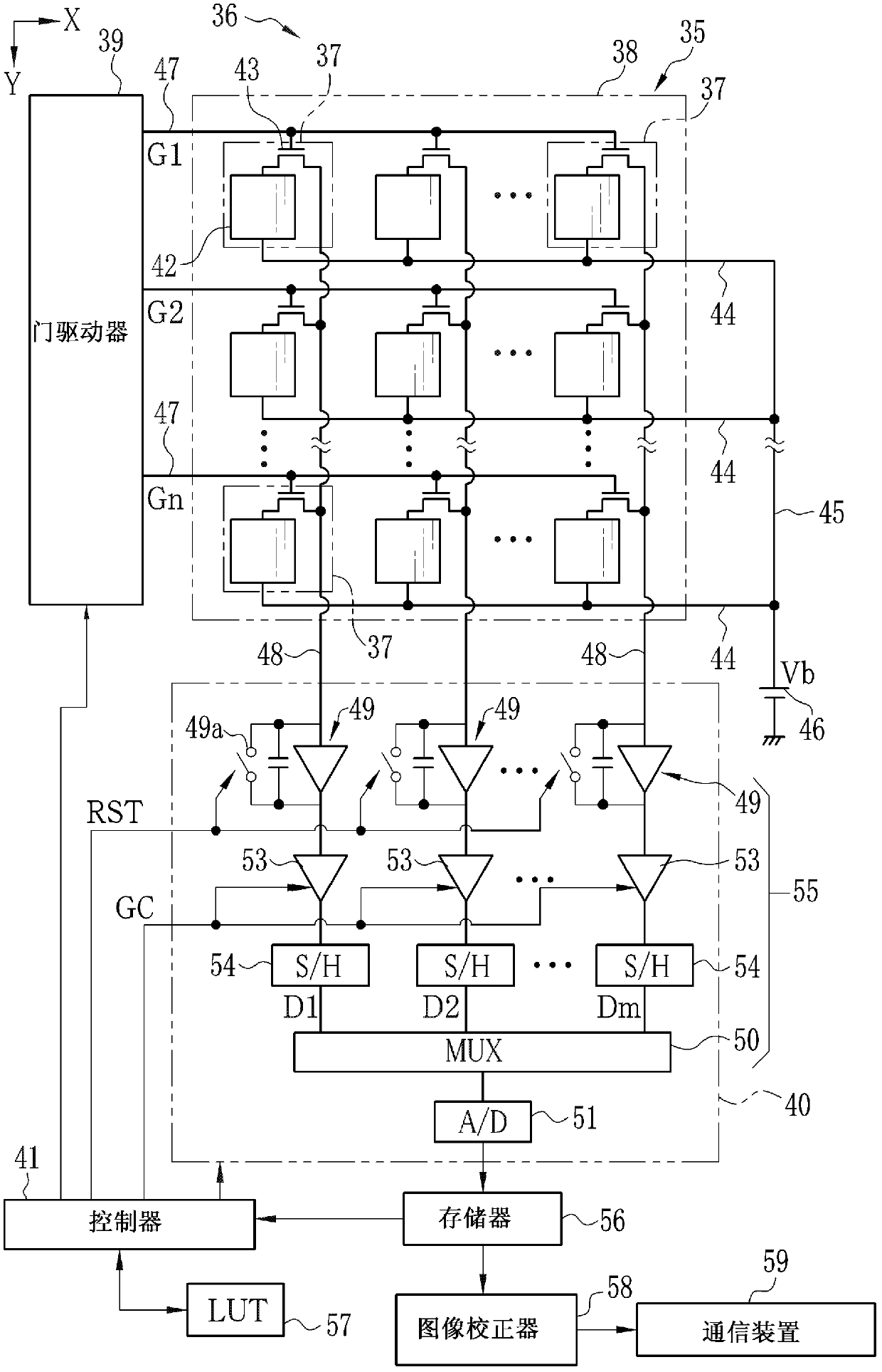 Radiographic image detector and gain setting method for radiographic image detector