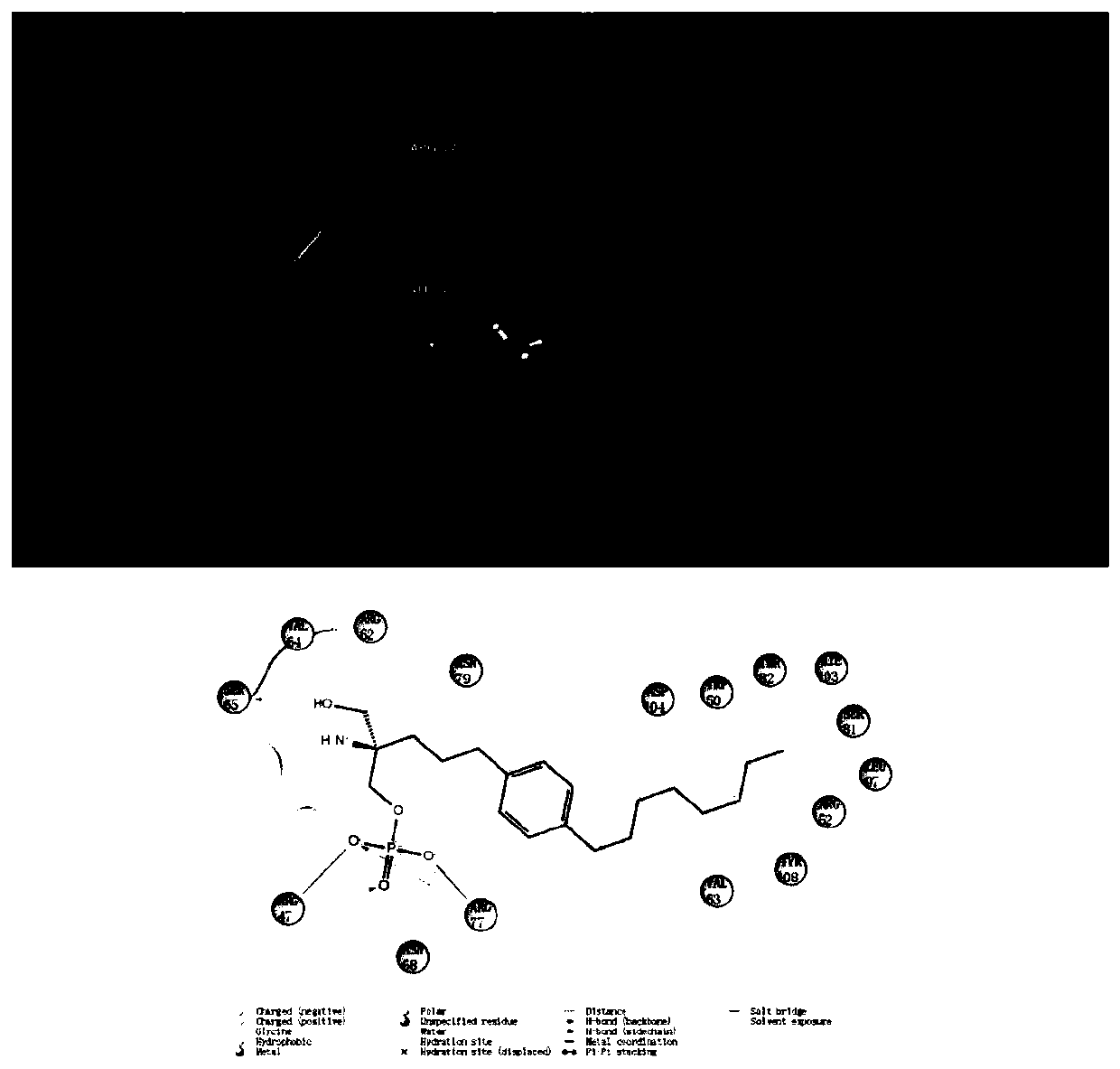 Application of FTY720-Phosphate in preparation of activating pharmacy of TREM2