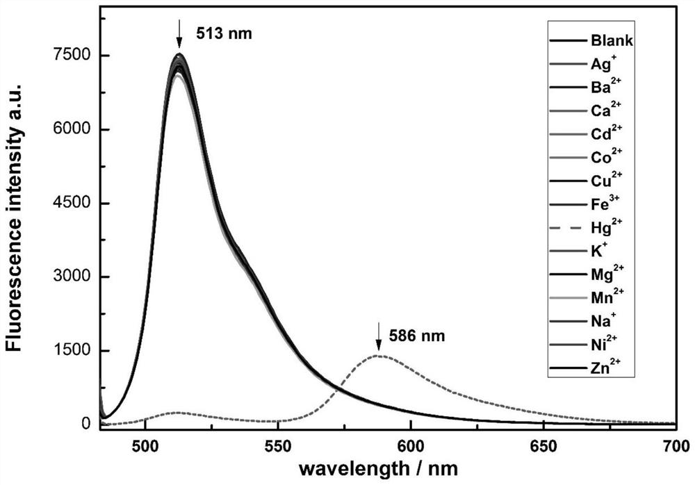 A fluorescent probe for detecting mercury ions and its preparation method and application