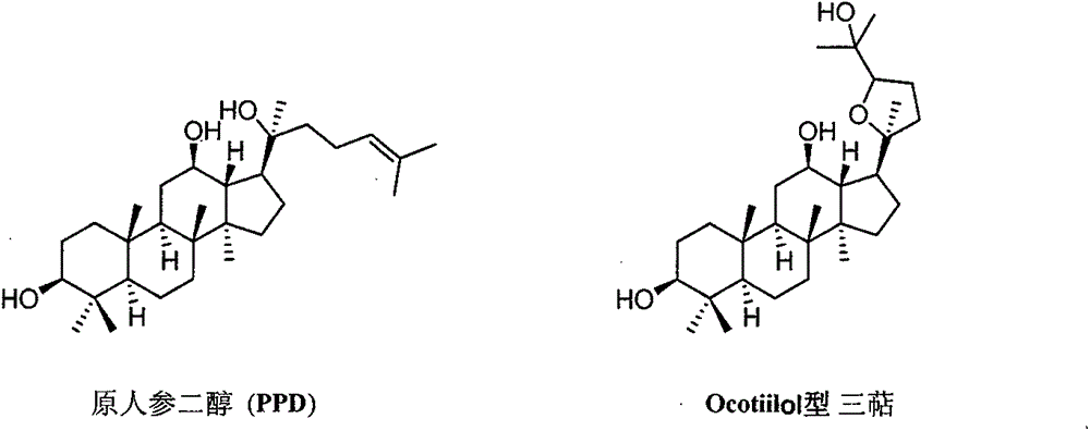 Preparation method and use of (20S, 24R/S)-epoxy-12 beta, 25-hydroxy-dammarane-3 beta-amine derivatives