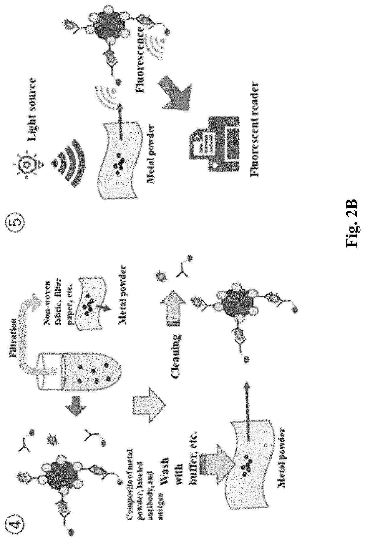 Fluorescence counting system for quantifying viruses or antibodies on an immobilized metal substrate by using an antigen-antibody reaction