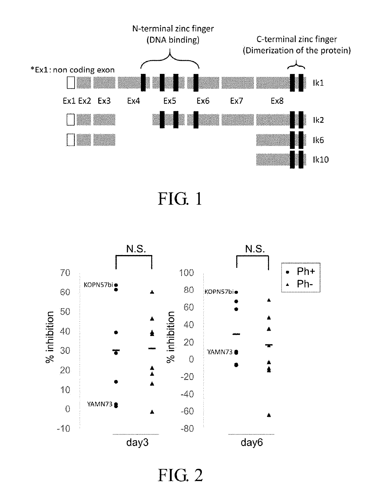 Therapeutic agent or treatment method for Philadelphia chromosome-positive (Ph+) acute lymphocytic leukemia (ALL) having IKZF1 mutation