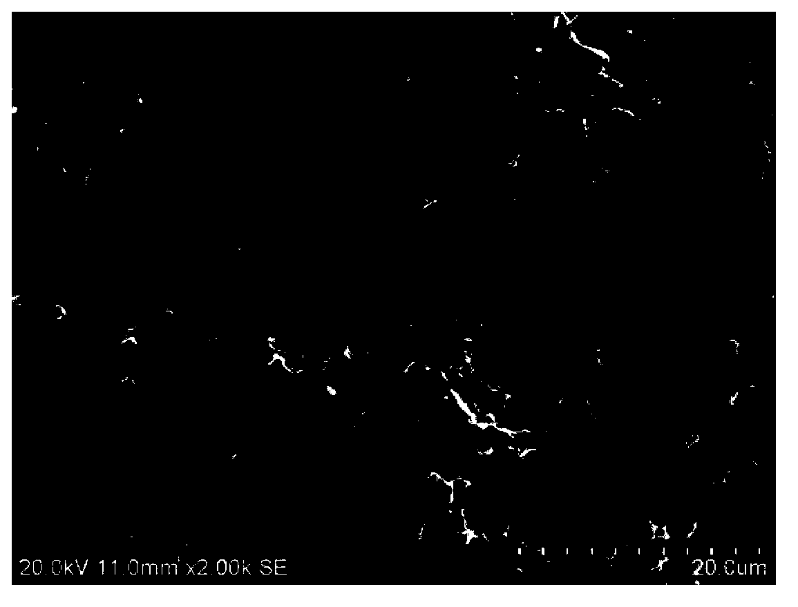 Surface treatment process of bioactive metallic titanium implant having multistage micro-pit structure