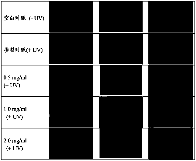 Method for evaluating efficacy of sunscreen product