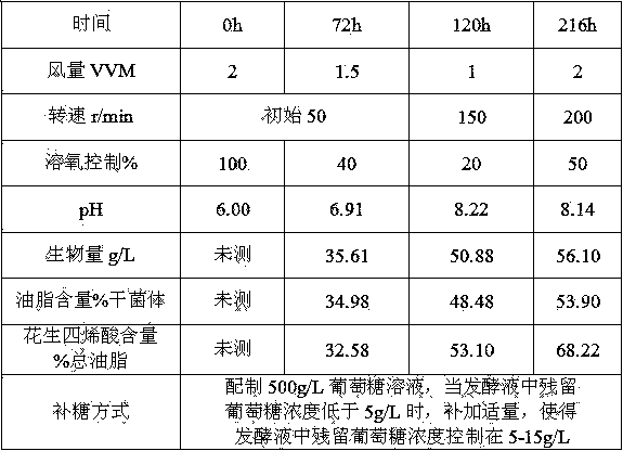 Method for producing arachidonic acid oil by Mortierella alpina fermentation on basis of dissolved oxygen control