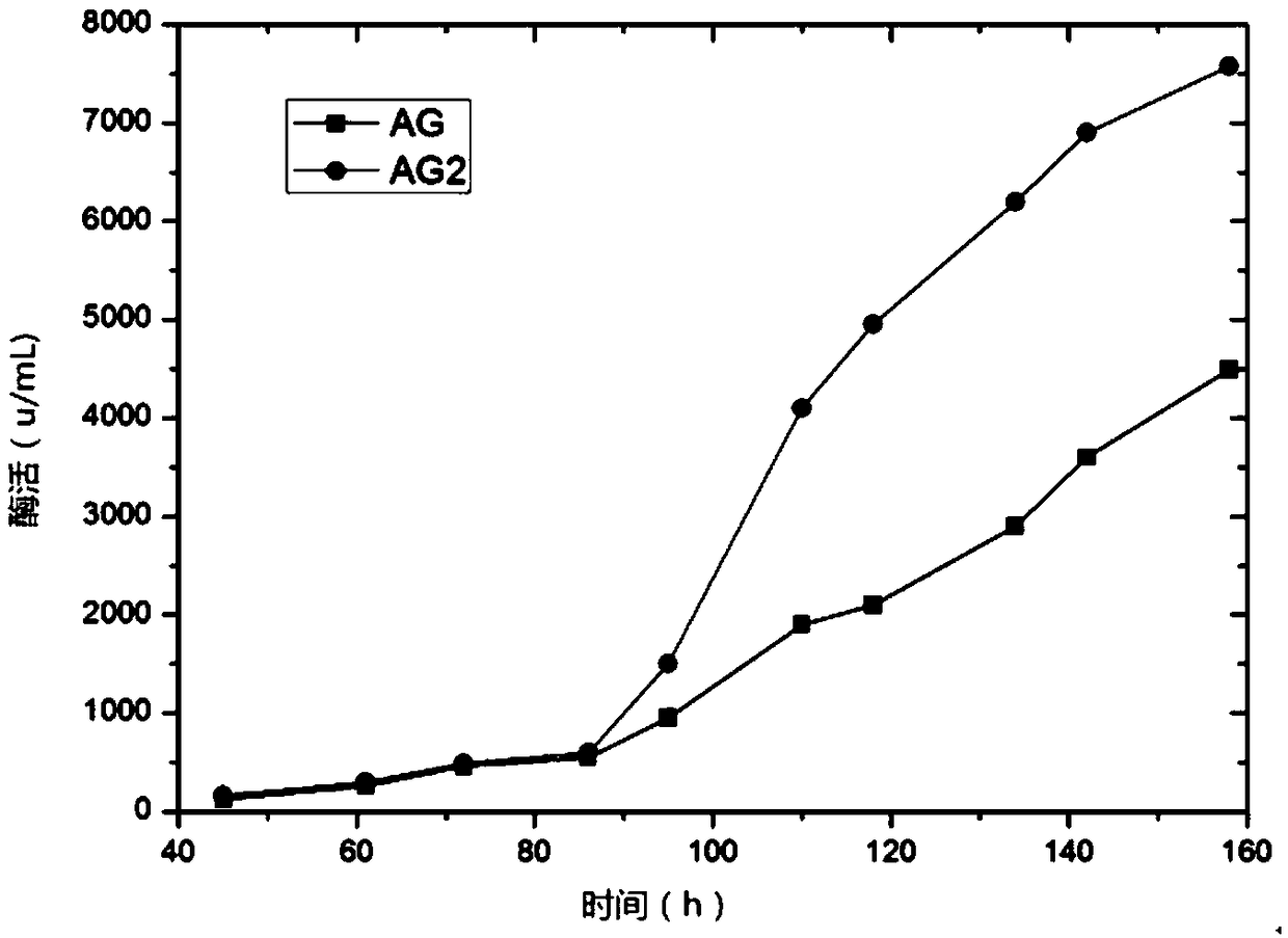 Pichia pastoris strain capable of producing high-yield alpha-galactosidase