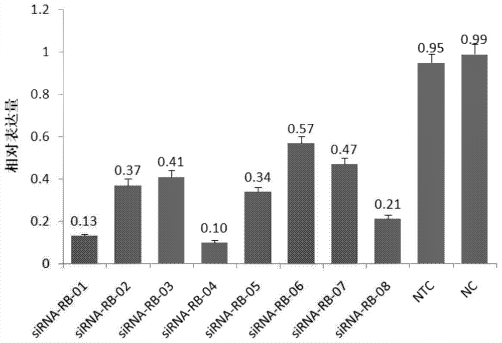 siRNA composition and application thereof for suppressing adamts-5 and adam17 genes