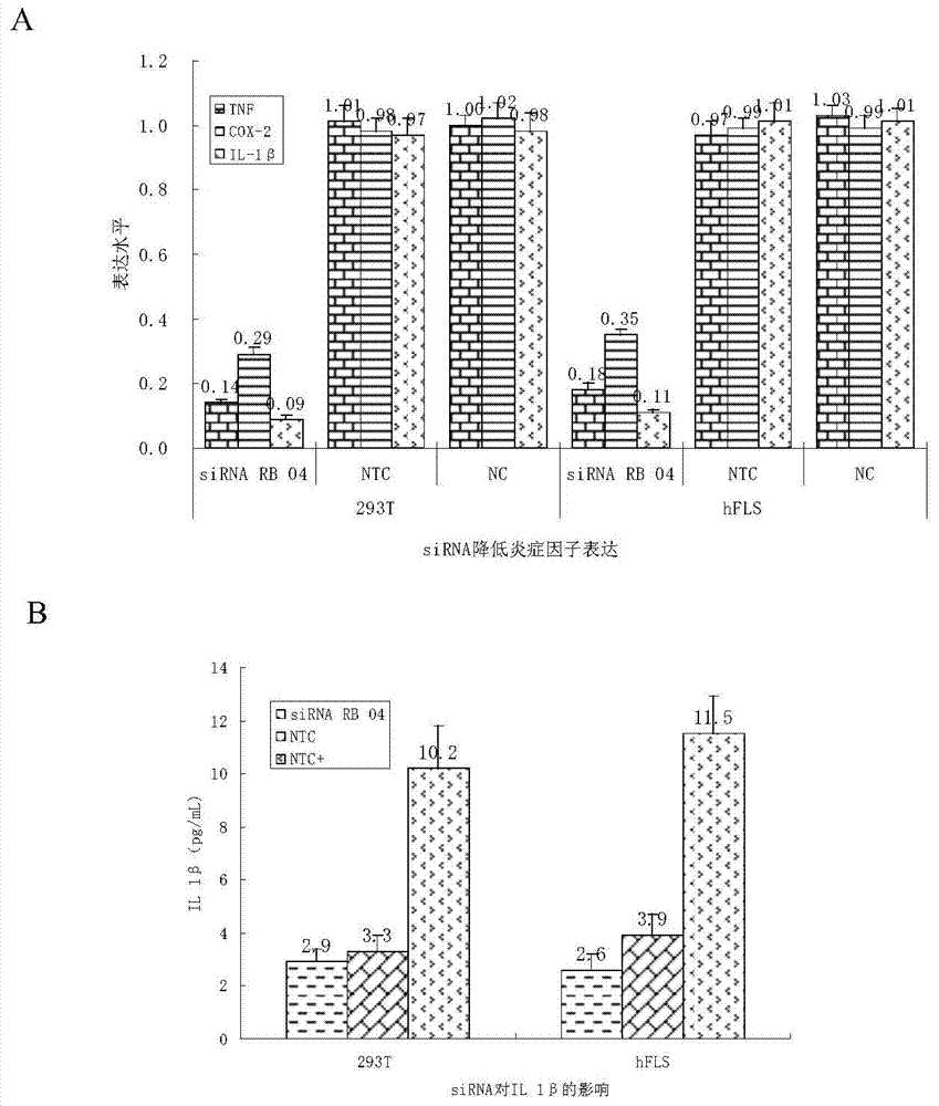 siRNA composition and application thereof for suppressing adamts-5 and adam17 genes