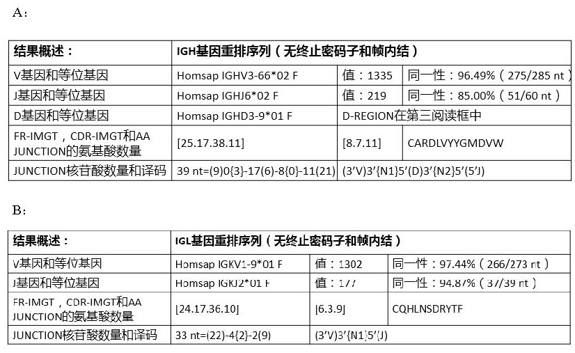 A fully human monoclonal antibody against novel coronavirus and its application