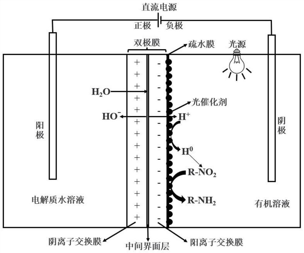 Photoelectrocatalytic hydrogen production and nitro-aromatic in-situ hydrogenation integrated device and application