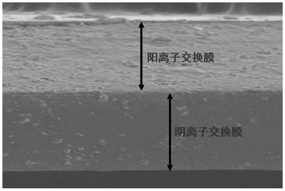 Photoelectrocatalytic hydrogen production and nitro-aromatic in-situ hydrogenation integrated device and application