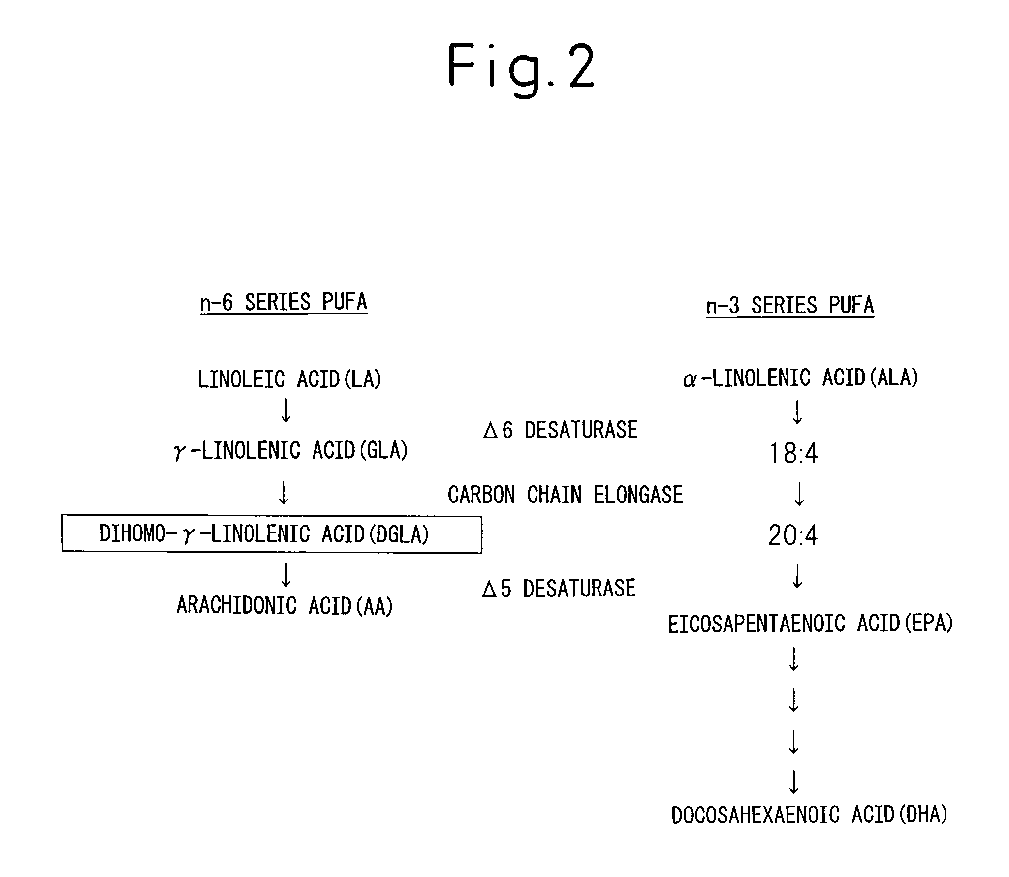 Composition comprising dihomo-γ-linolenic acid (DGLA) as active ingredient