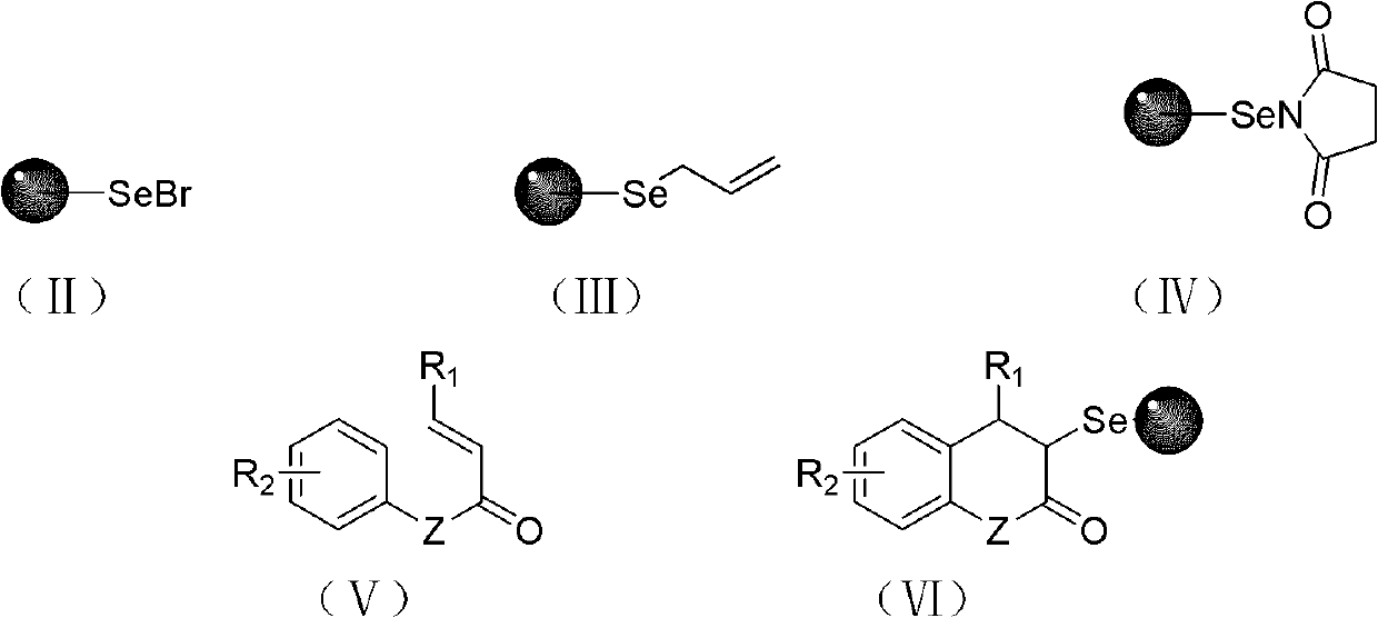 Solid-phase synthesis method of coumarin and analogue thereof