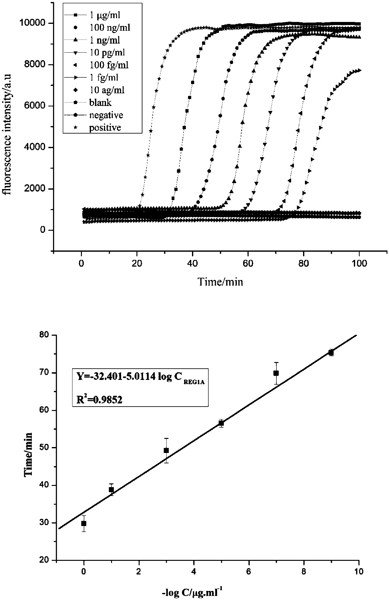 Biotinylated liposome used for detecting pancreas cancer marker REG1A, and preparation method and applications thereof