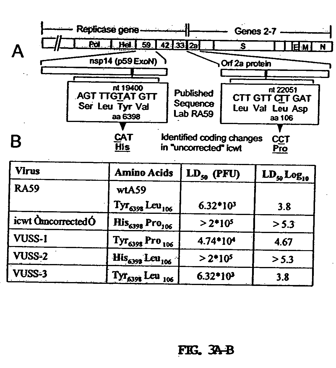 Live attenuated Coronavirus vaccines