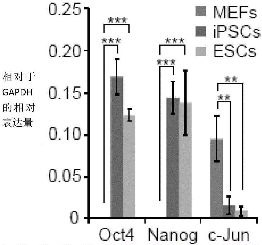 Method for preparing induced pluripotent stem cells as well as composition used in method and application of composition