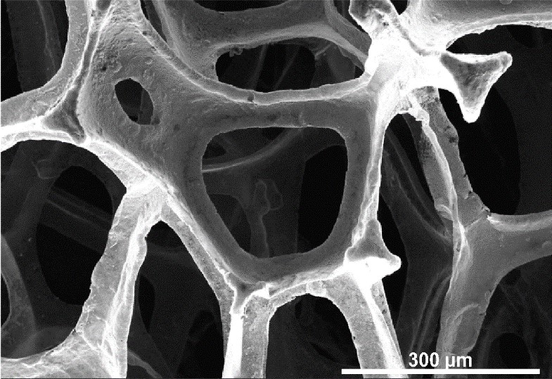 Preparation and application of au NPs/ZnO nanocone array/graphene foam electrode